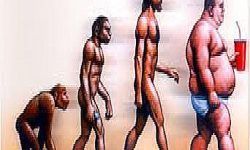 evolución de la obesidad